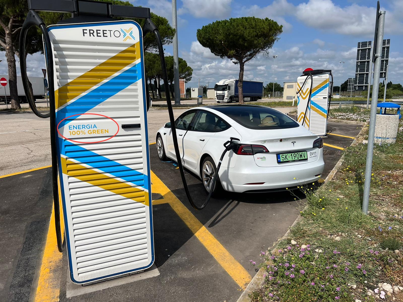 WhatsApp Image 2026 02 08 at 10.36.25